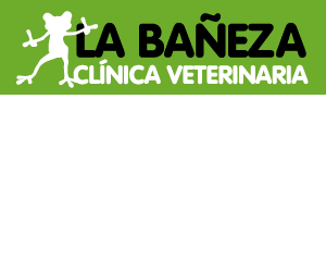 publicidad