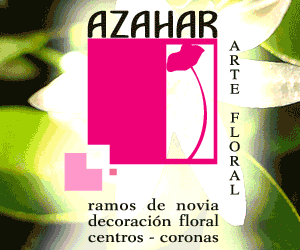 publicidad