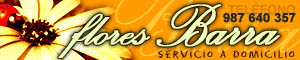 publicidad