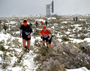 101206penadeltrentilenus