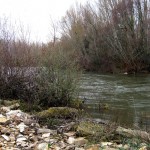 Crecida río Órbigo en La Bañeza Aspecto que presentaba el río esta mañana.