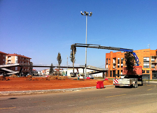 110308colocacionarbolesn6
