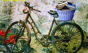 110610bicicleta