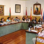 Un momento del Pleno.