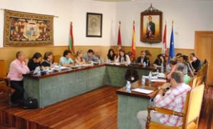 110629pleno Un momento del Pleno.