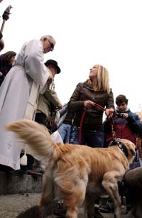 120122sanantonbendicionanimales