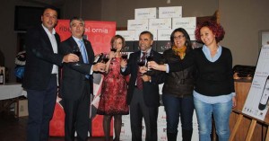 121115vinosolidarioalois