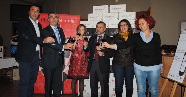 121115vinosolidarioalois