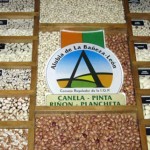 141112igpalubias Algunas de las variedades de alubias amparadas por el sello de calidad IGP Alubia de La Bañeza-León.