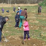 150320diadelarbol Los niños plantaron su árbol ayudados por miembros del equipo de Gobierno y trabajadores municipales.