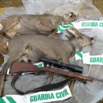 160405corzosabatidoscazailegal Animales decomisados por la Guardia Civil y arma con la que, presuntamente, fueron abatidos.