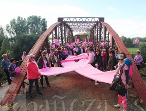 181020marcharosaaecc Un gran lazo rosa protagonizó la llegada al Puente de Requejo.