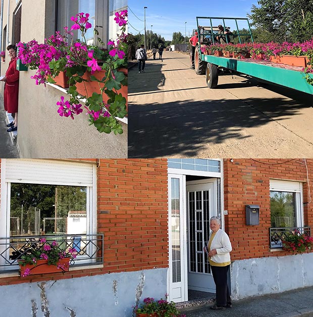 190617flores