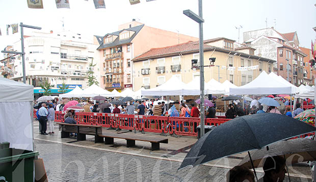 190915alubiada2