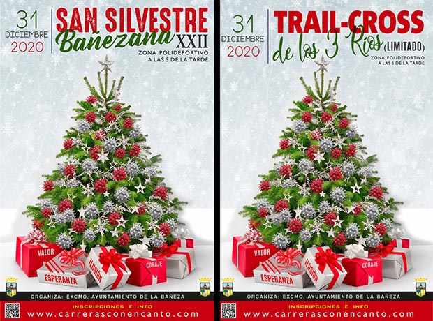 201226sansilvestrecarteles